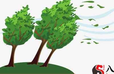 梦见风把墙面吹倒了