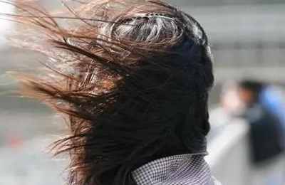 梦见被风吹走了