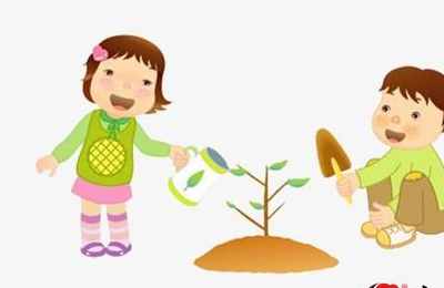 梦见给树苗浇水