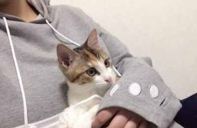 梦见冬季抱着暖炉