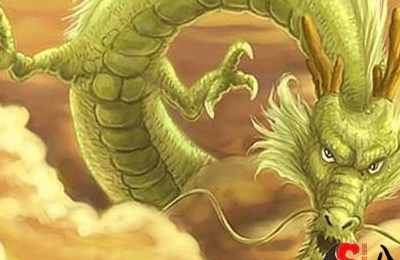 梦见植物晒太阳