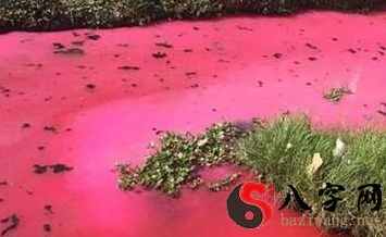 梦见血流到河里