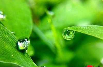 梦见卫生间有露水