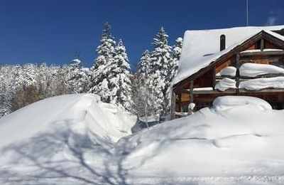 梦见白雪厚厚的