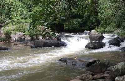 梦到水流很着急