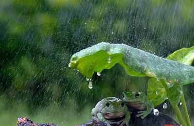 梦见雨漏到的身上
