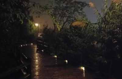 梦见夜里独自行走