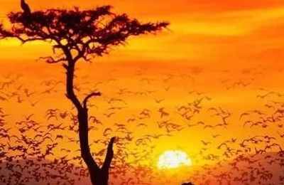 梦见阳光照在的身上