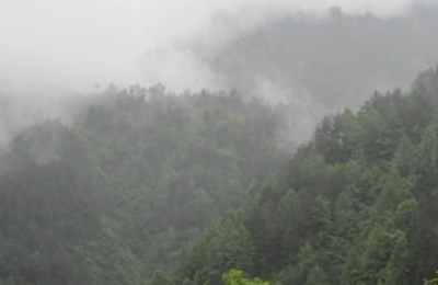 梦见碧绿碧绿大山