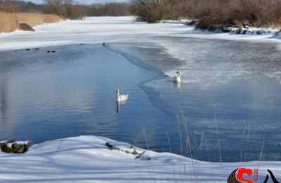 梦见河里有水有冰