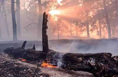 梦到柴火熊熊燃烧