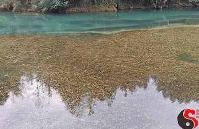 梦见清澈见底的河水