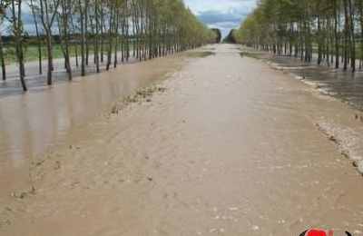 梦见道路发大水