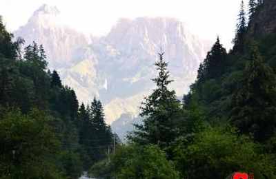 梦到发大水往山里跑