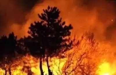 梦到自己被大火烧死