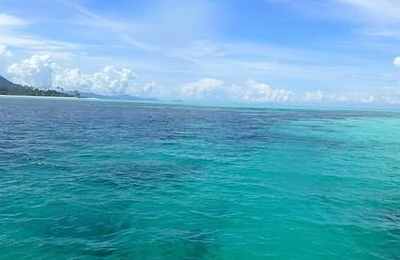 梦见宁静的大海