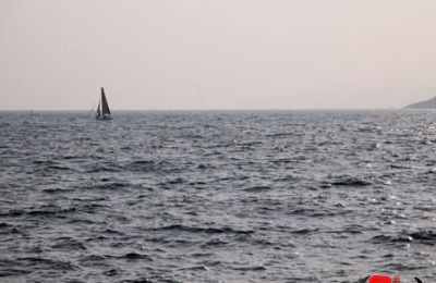 梦见杜青林大海