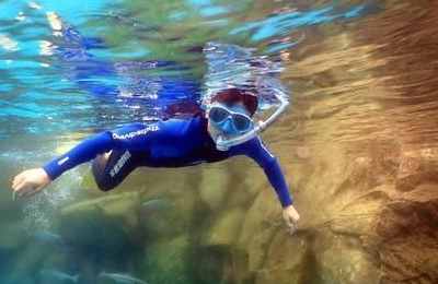 梦到大海潜水