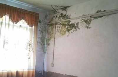 梦见屋顶漏水
