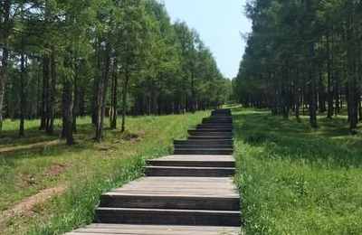 梦见公园一个人也没有