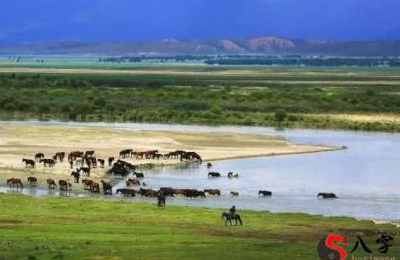 梦见宽敞大河水流很着急