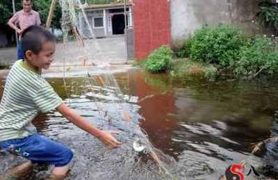 梦见道路上发大水