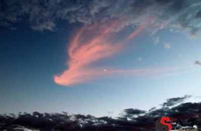 梦见天空发生凤凰