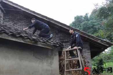 梦见修房顶